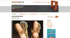 Desktop Screenshot of amazingmania.com