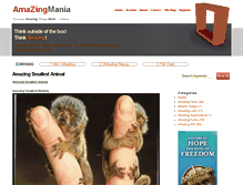 Tablet Screenshot of amazingmania.com